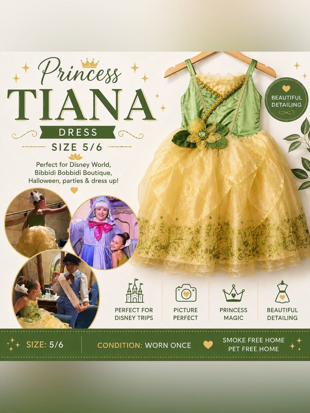 Princess Tiana Disney Dress/Costume